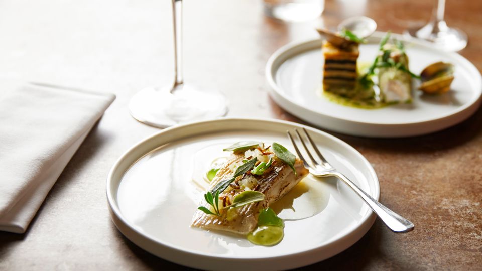 mail@stephenhayward.com