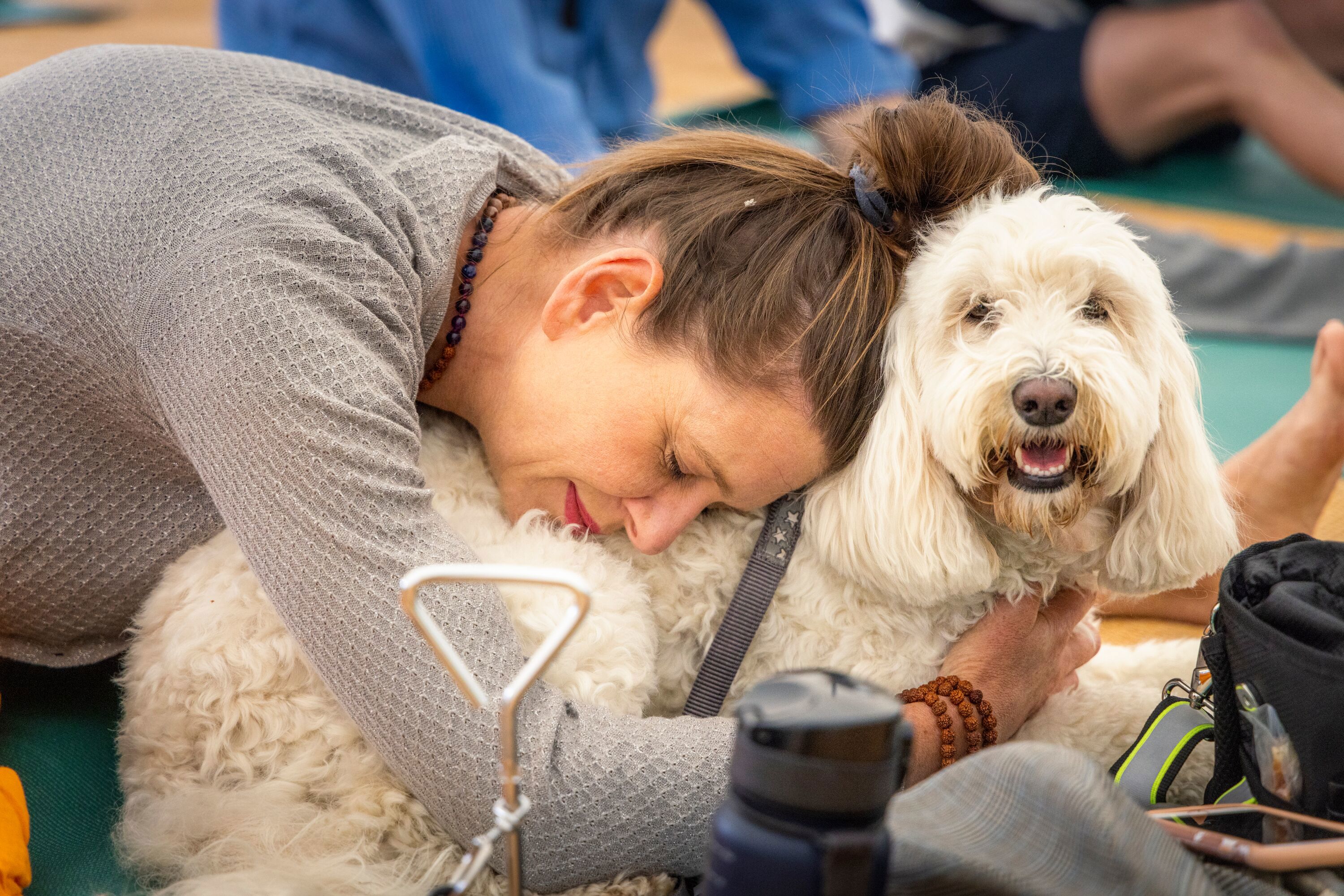 Doga (dog yoga) in the Studio at the Goodwood Kennels at the start of the first Goodwoof event..Picture date: Saturday May 28, 2022..Photograph by Christopher Ison ©.07544044177.chris@christopherison.com.www.christopherison.com..IMPORTANT NOTE REGARDING IMAGE LICENCING FOR THIS PHOTOGRAPH: This image is supplied to the client under the terms previously agreed. No sales are permitted unless expressly agreed in writing by the photographer. Sharing with third parties is prohibited without the written permission of the photographer.