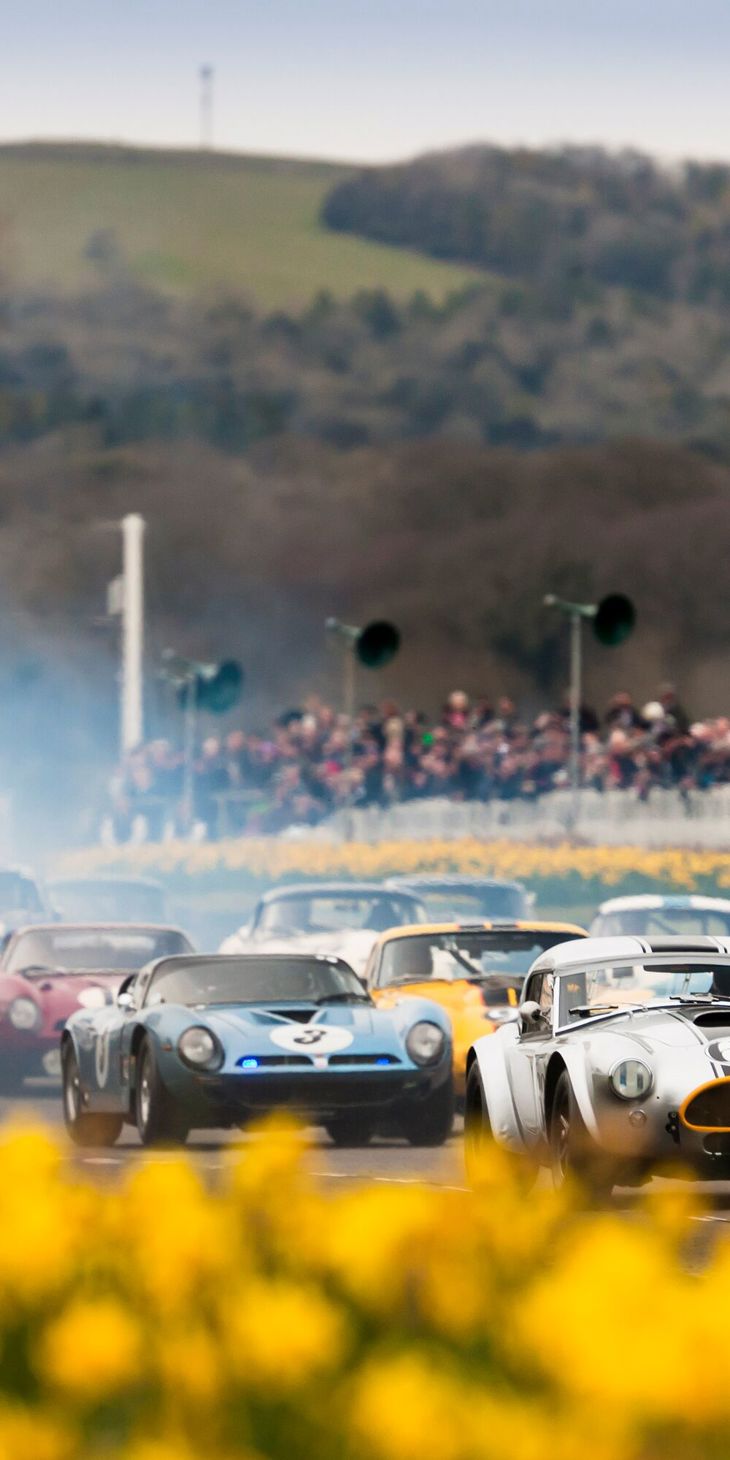 2016 Goodwood Members Meeting..74th Members Meeting ..19th - 20th March 2016...Graham Hill trophy..Photo: Drew Gibson.