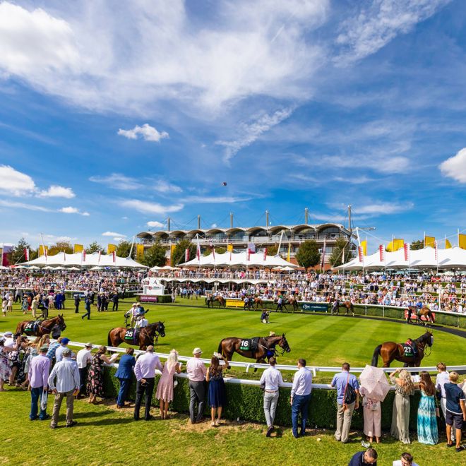 Horses parade before the Unibet Stewards' Cup Handicap Stakes on the fifth and final day of the Qatar Goodwood Festival 2018, QGF..Picture date: Saturday August 4, 2018..Photograph by Christopher Ison ©.07544044177.chris@christopherison.com.www.christopherison.com