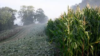 GOODWOOD ESTATE PROJECT..STARTED IN 2019, COMMISSIONED BY DR