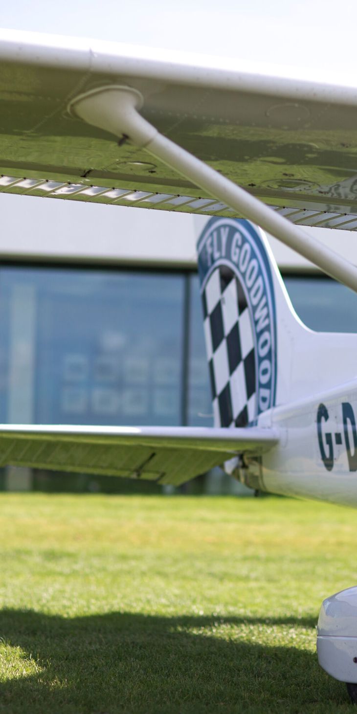 Aeroclub at Goodwood 2015 by Nicole Hains