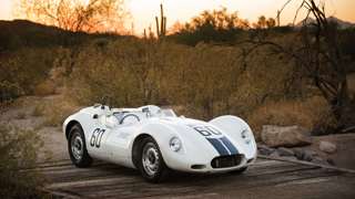 lister_knobbly_13052016.jpg