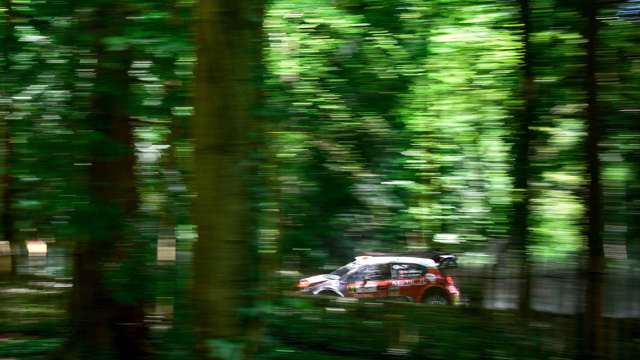 fos_goodwood_rally_stage_15071822.jpg