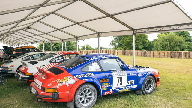 forest rally stage 13.jpg