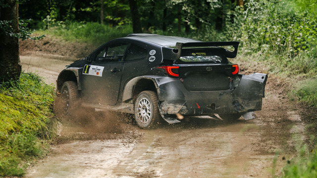 forest rally stage 17.jpg