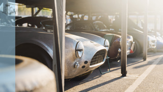 82MMEarlyMorning_Tobywhales MAIN.jpg