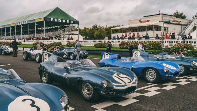 revival_jaguar_d_type_goodwood_21092017_richardpardon_-64.jpg