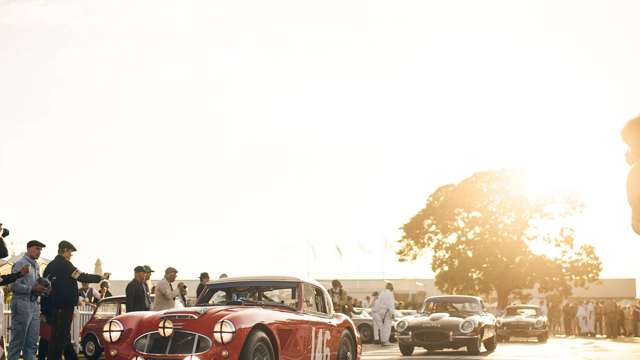 revival-2019-kinrara-tom-shaxson-goodwood-13091906.jpg