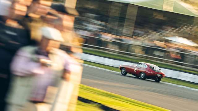 revival-2019-kinrara-tom-shaxson-goodwood-13091912.jpg