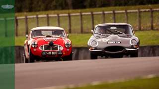 revival-2019-kinrara-trophy-jaguar-e-type-austin-healey-drew-gibson-main-goodwood-14092019.jpg
