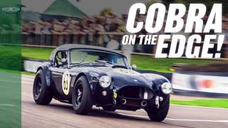 cobra-on-the-edge-thin.jpg