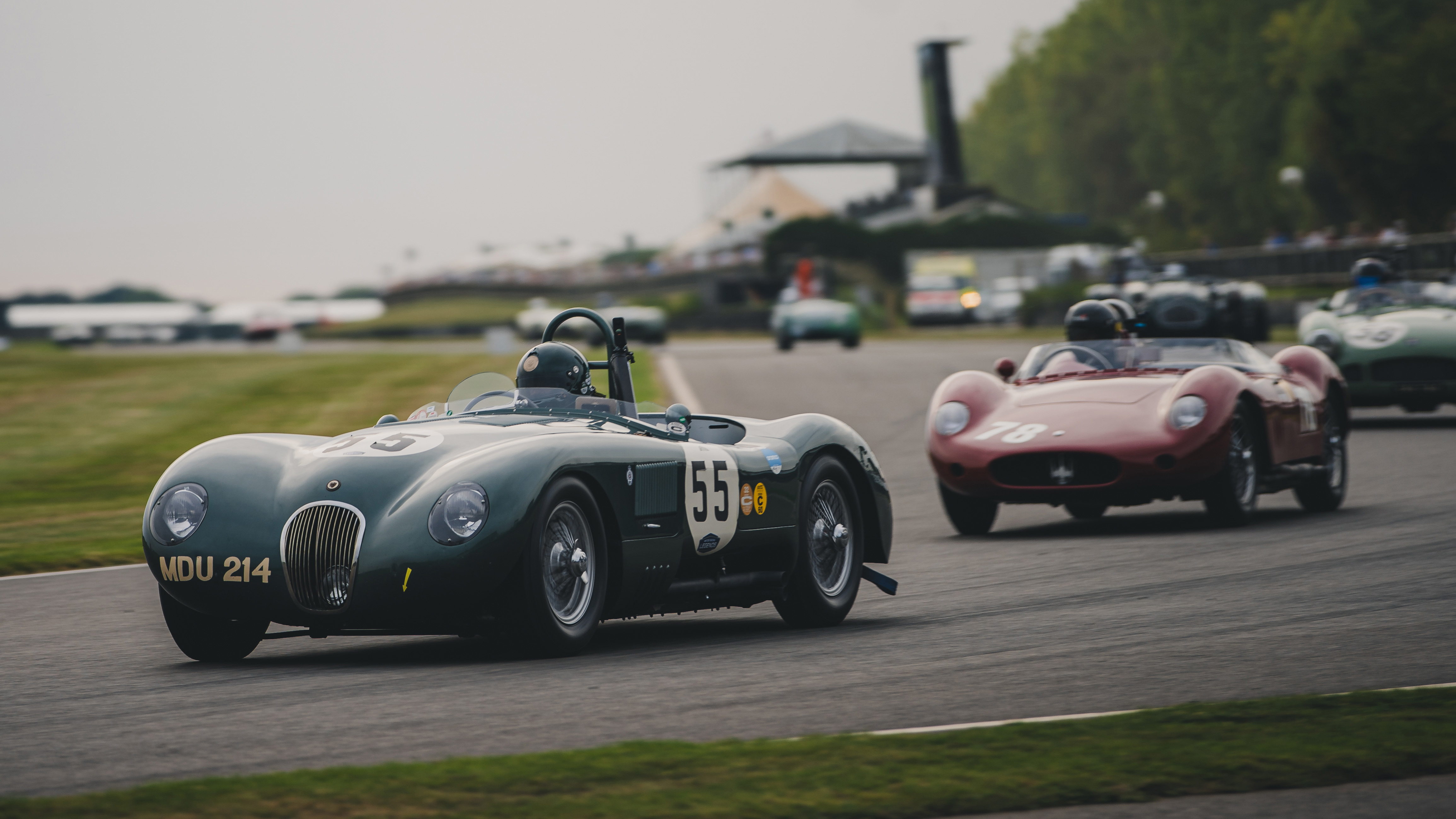 Revival2023_RaifeSmith-198- jaguar-C-type copy.jpg