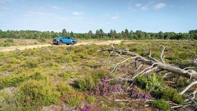 ford-ranger-raptor-off-road-goodwood-19052104.jpg