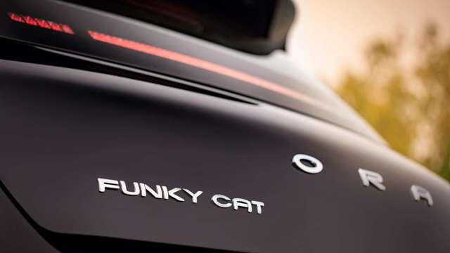 ora-funky-cat-05.jpg