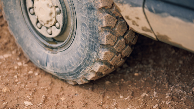 Torsus Praetorian 19.jpg