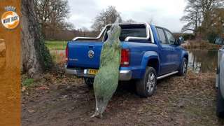 volkswagen_amarok_christmas_tree_03011907.jpg