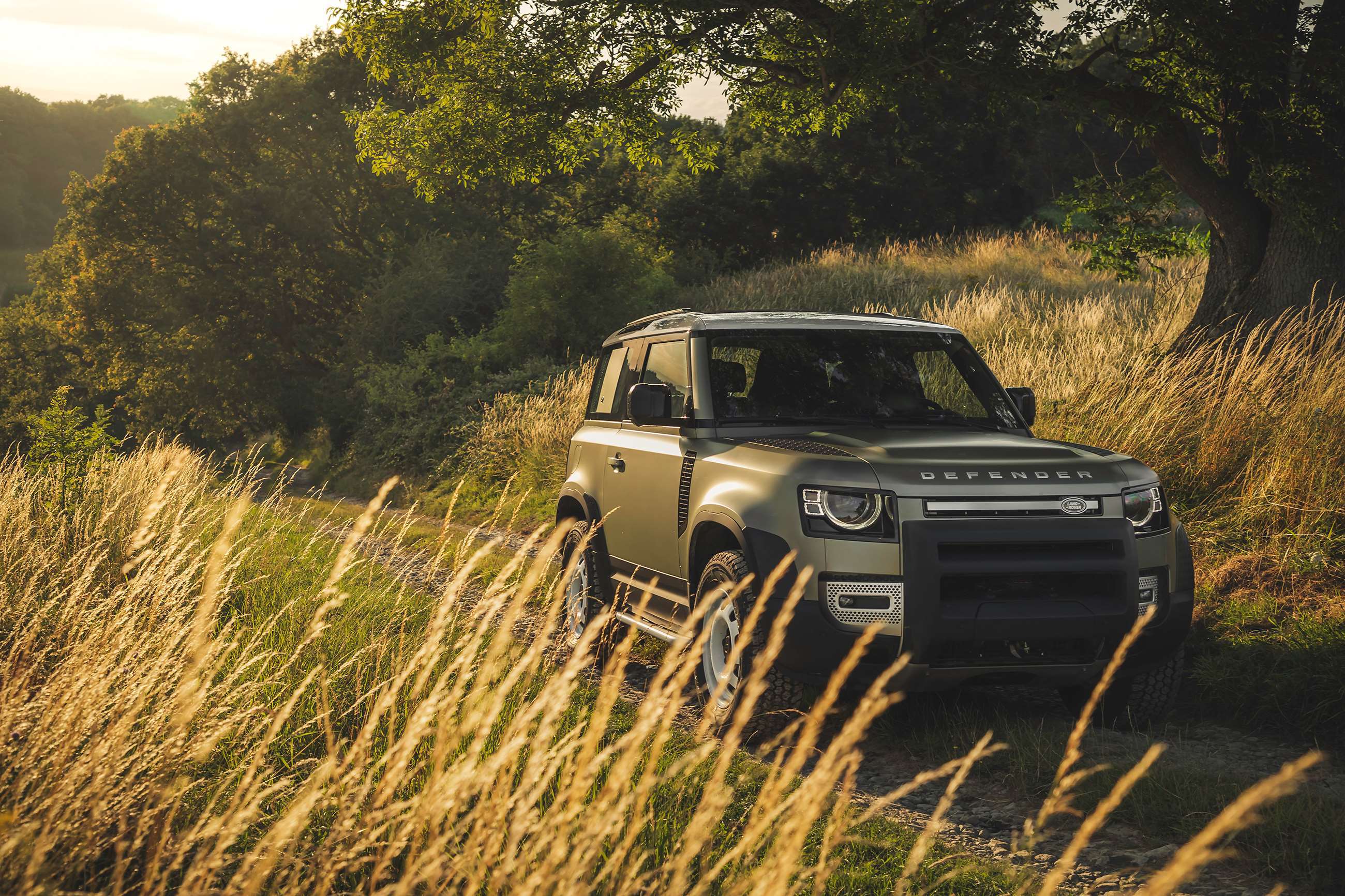 land-rover-defender-2020-goodwood-10092019.jpg