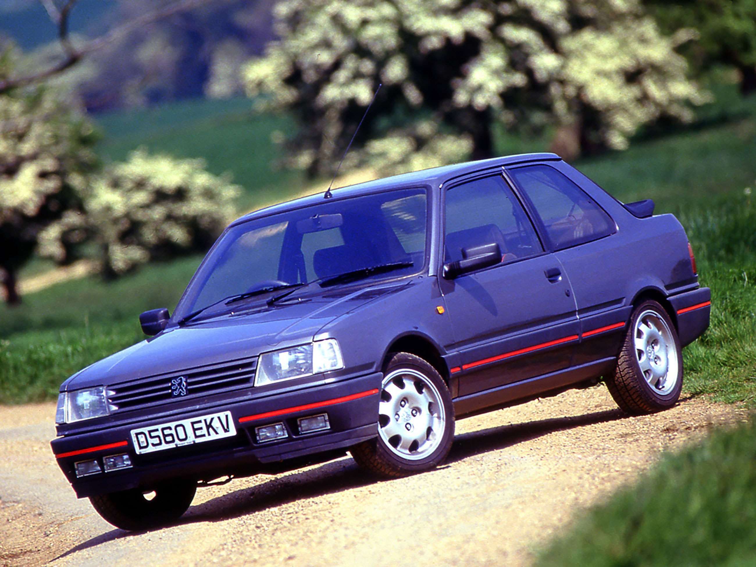 best-peugeot-gtis-4-peugeot-309-gti-goodwood-22012021.jpg