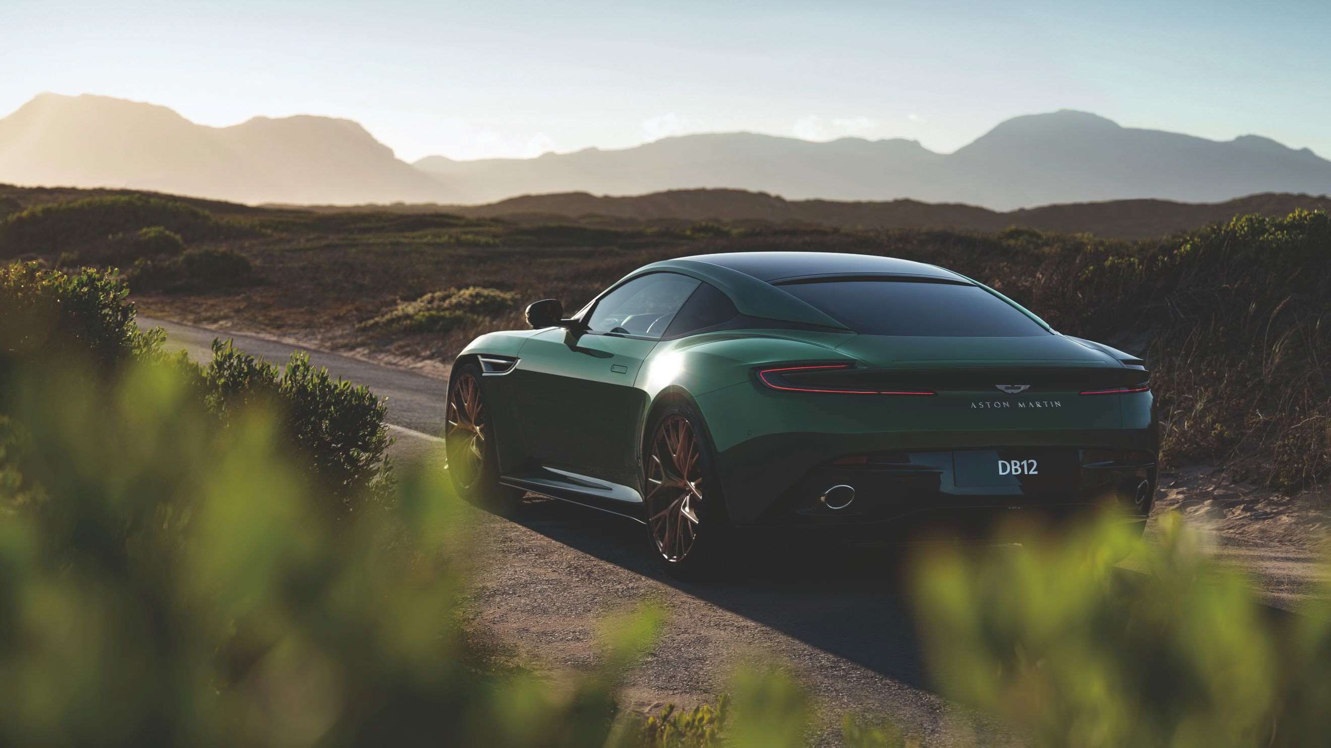 thenewastonmartindb12_30.jpg