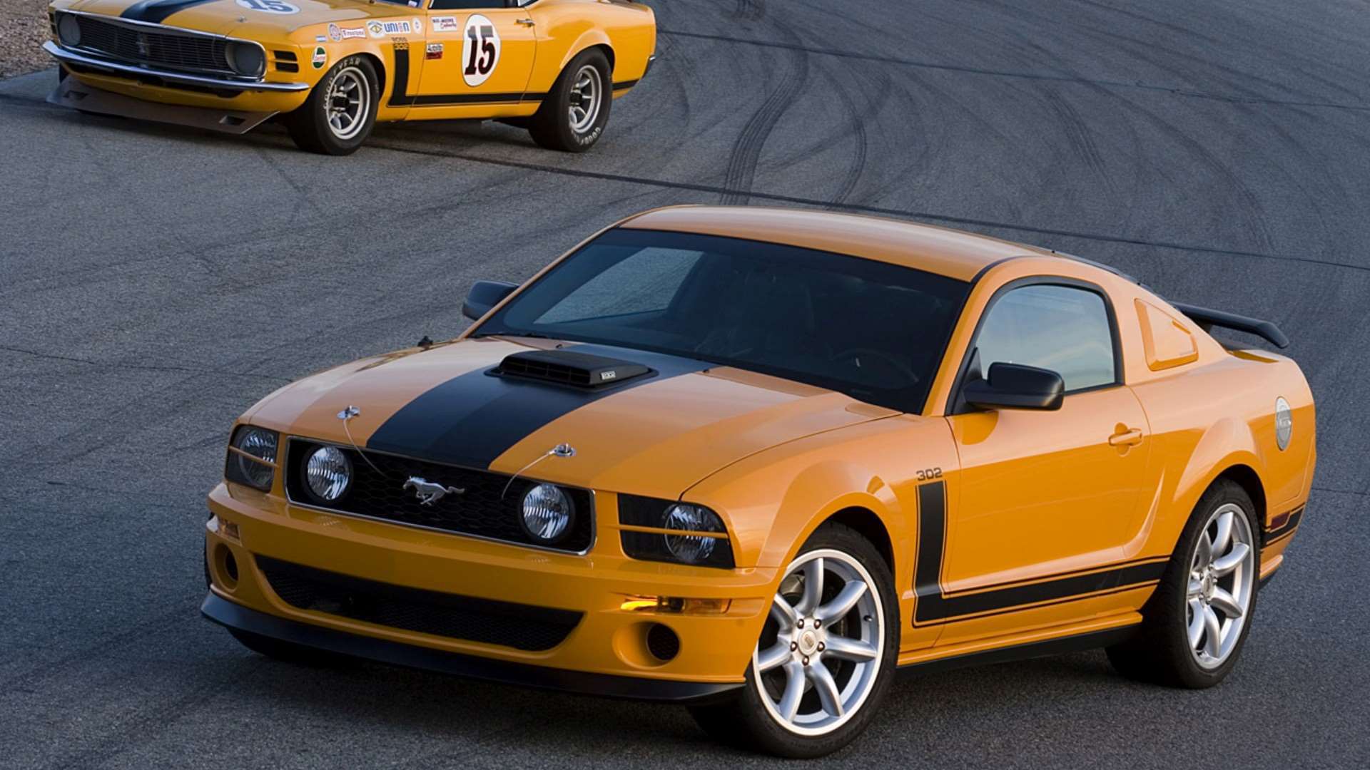 mustang_mixed__images_1.jpg