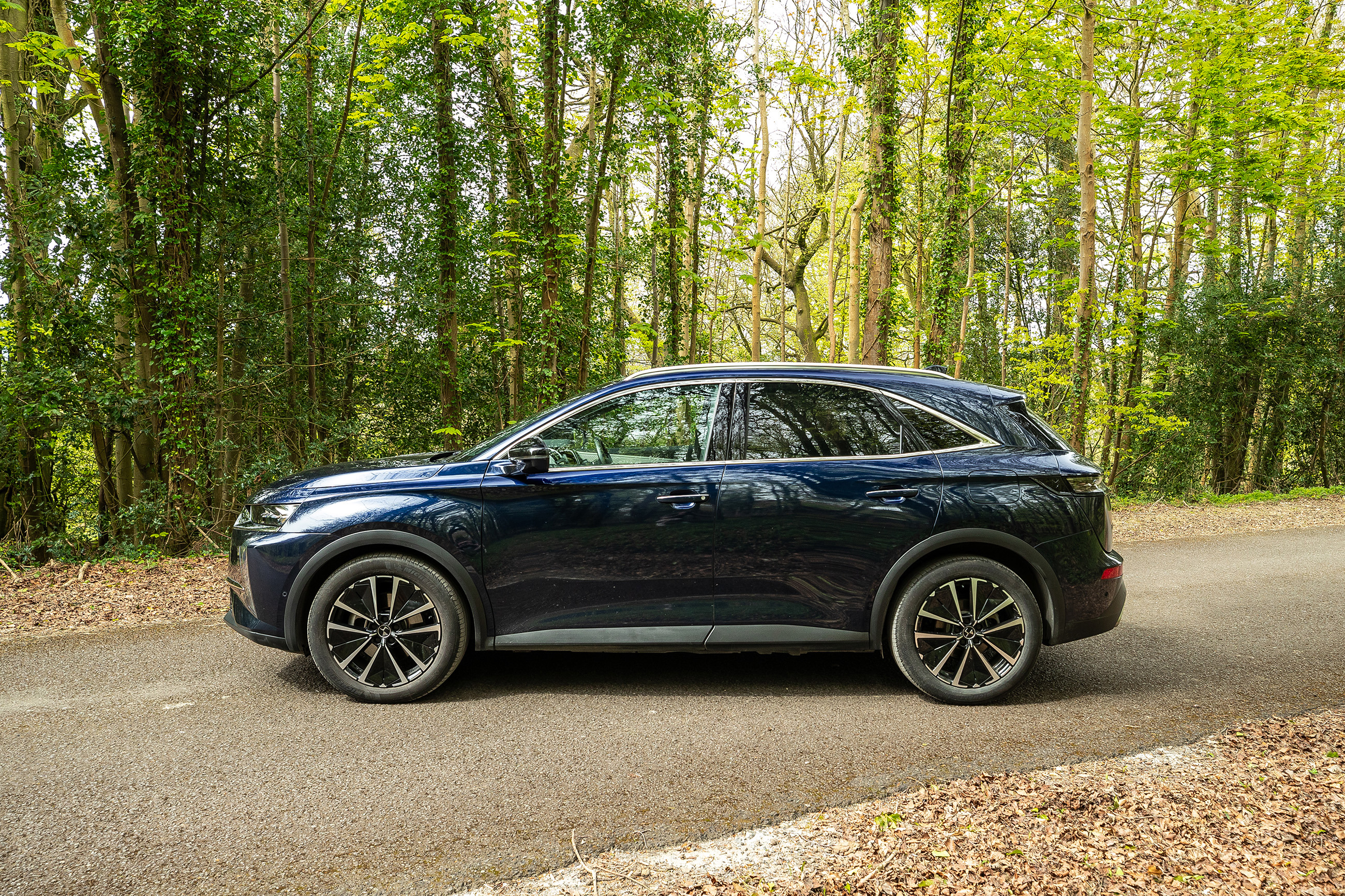 ds 7 long term review 11.jpg