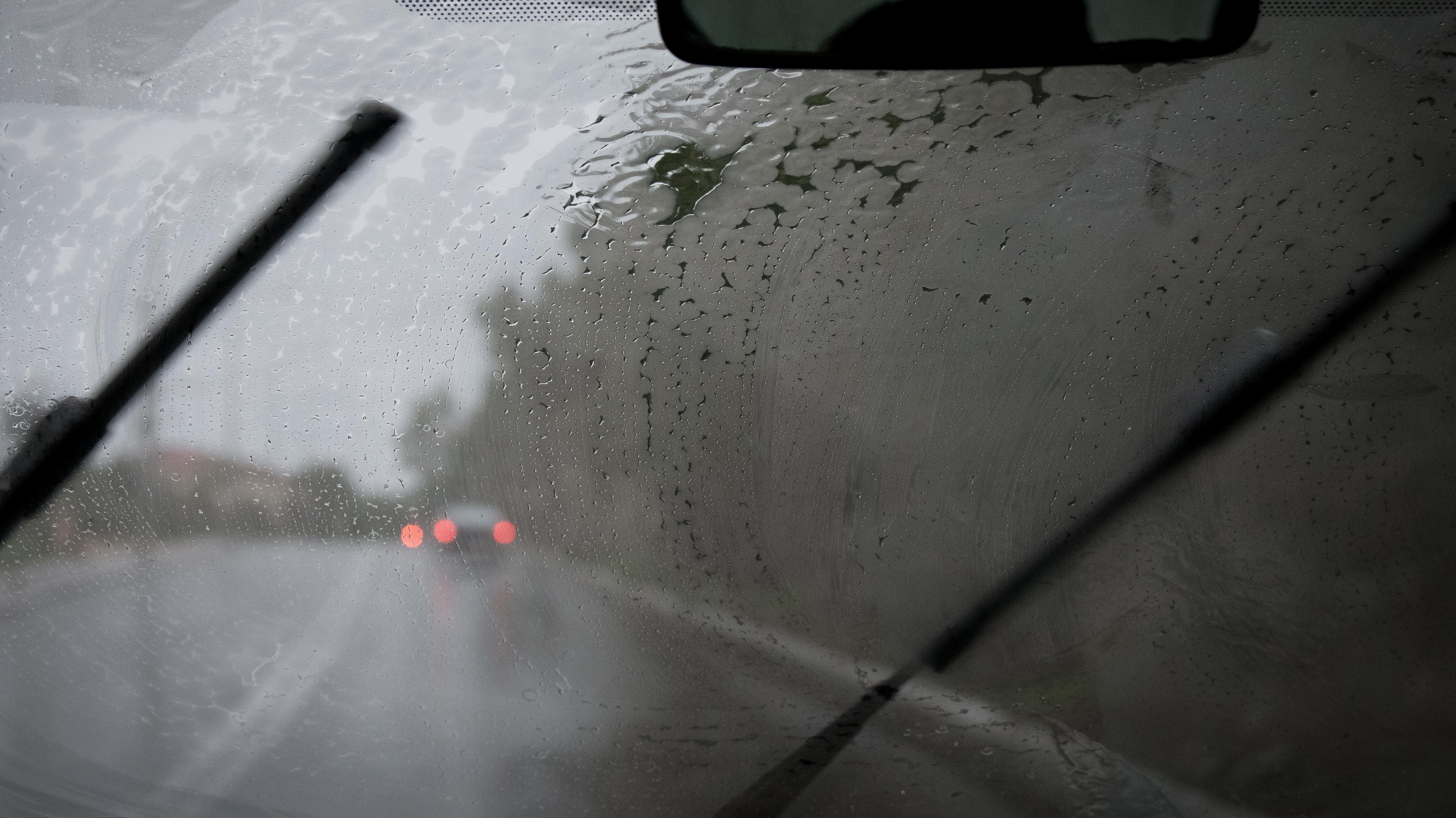 Charlotte Bridgwood windscreen wipers copy.jpg