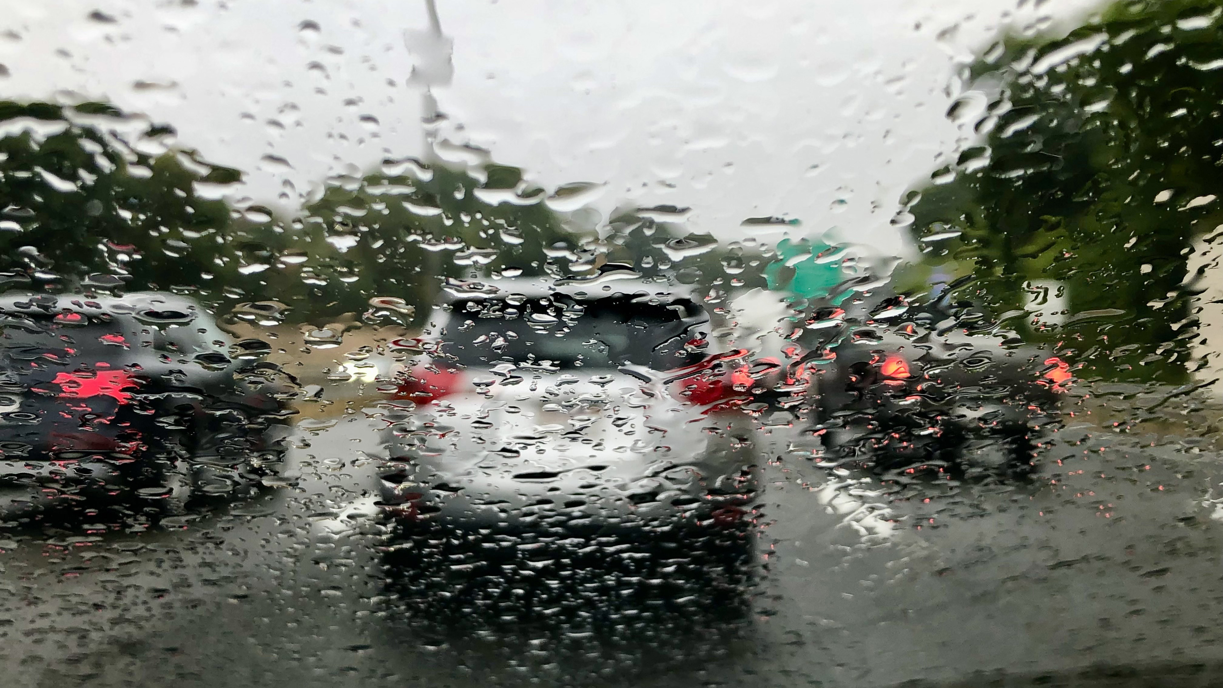 Katharine Blodgett windscreen copy.jpg