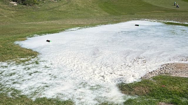 TTG DOWNS APRIL (4).jpeg