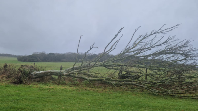 The Downs Course (4).png