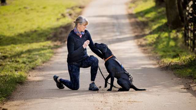 louise-humphrey-dog-pilates.jpg