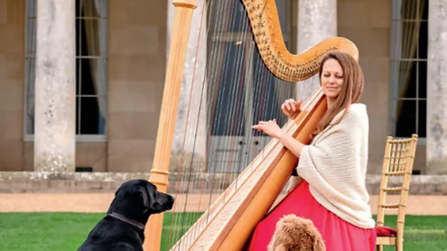 siobhan-playing-harp-goodwoof.png