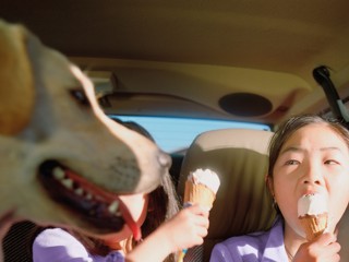 Le Shuttle image.jpg