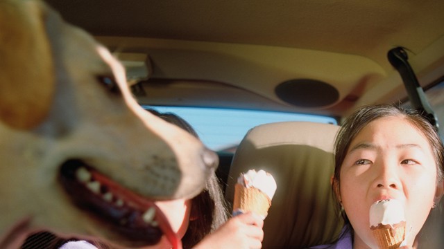 Le Shuttle image.jpg