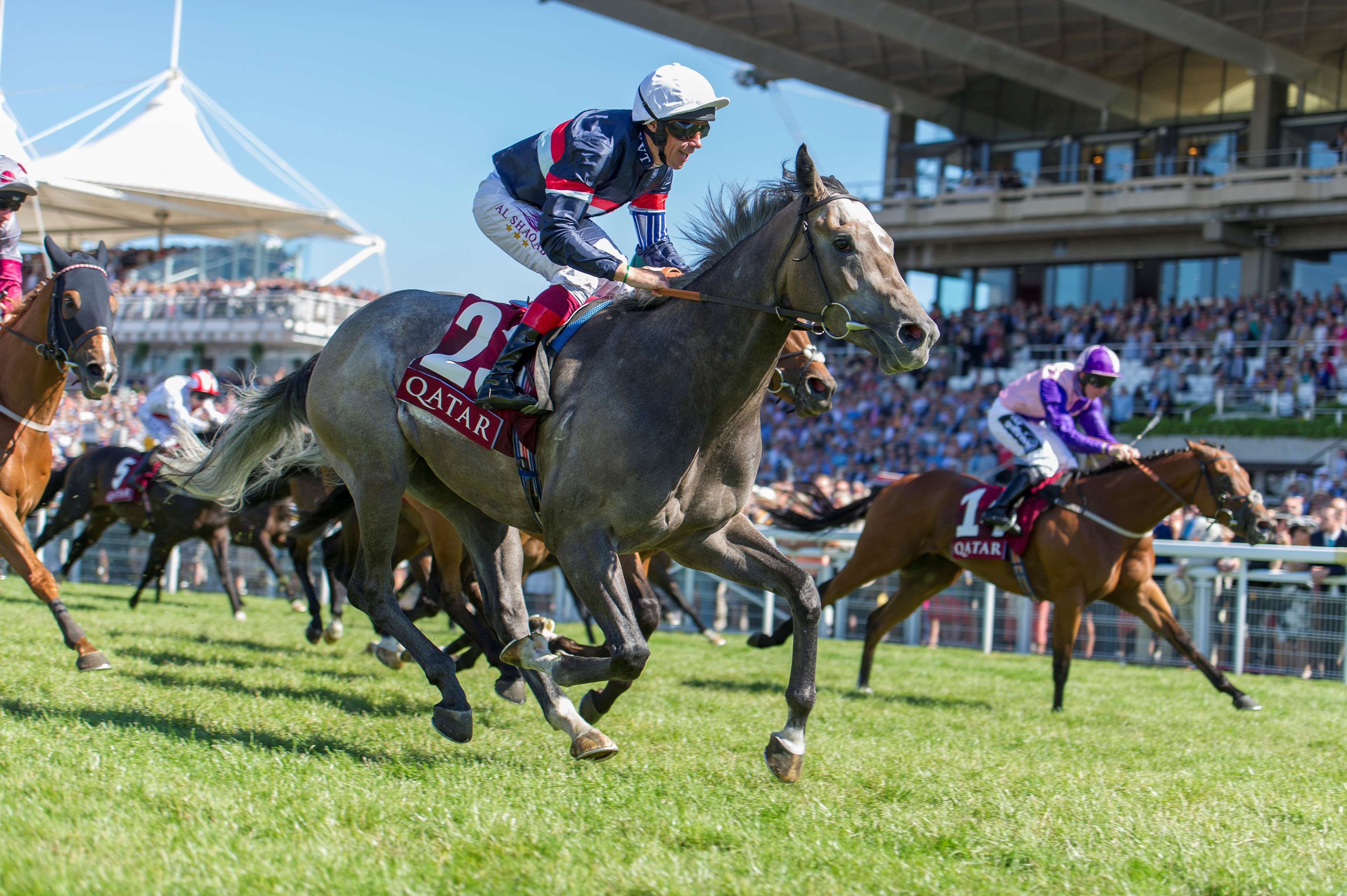 Magical Memory – 2015 Stewards’ Cup