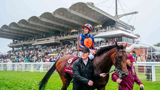 Paddington extends unbeaten run to seven in Qatar Sussex Stakes.
