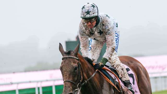 Al Ghadeer tamped his class on the G1 Qatar International Stakes as he sauntered clear of a quality field.