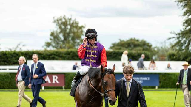 Serried Ranks ridden by Rossa Ryan returned victorious to the parade ring.