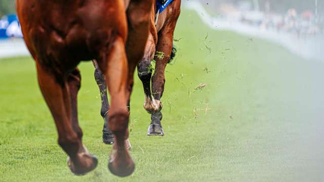 qgf-day-5-highlights---horses-hooves-close-up.jpg