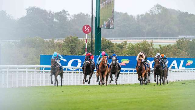 qgf-day-5-highlights---horses-running-on-track.jpg