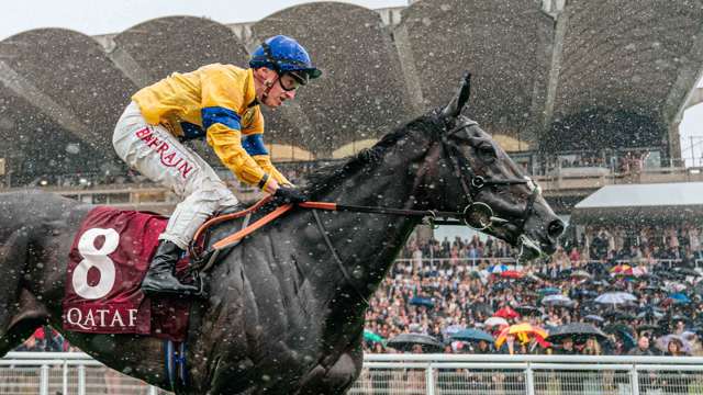 qgf-day-5-highlights---jockey-and-horse-close-up-in-the-rain.jpg