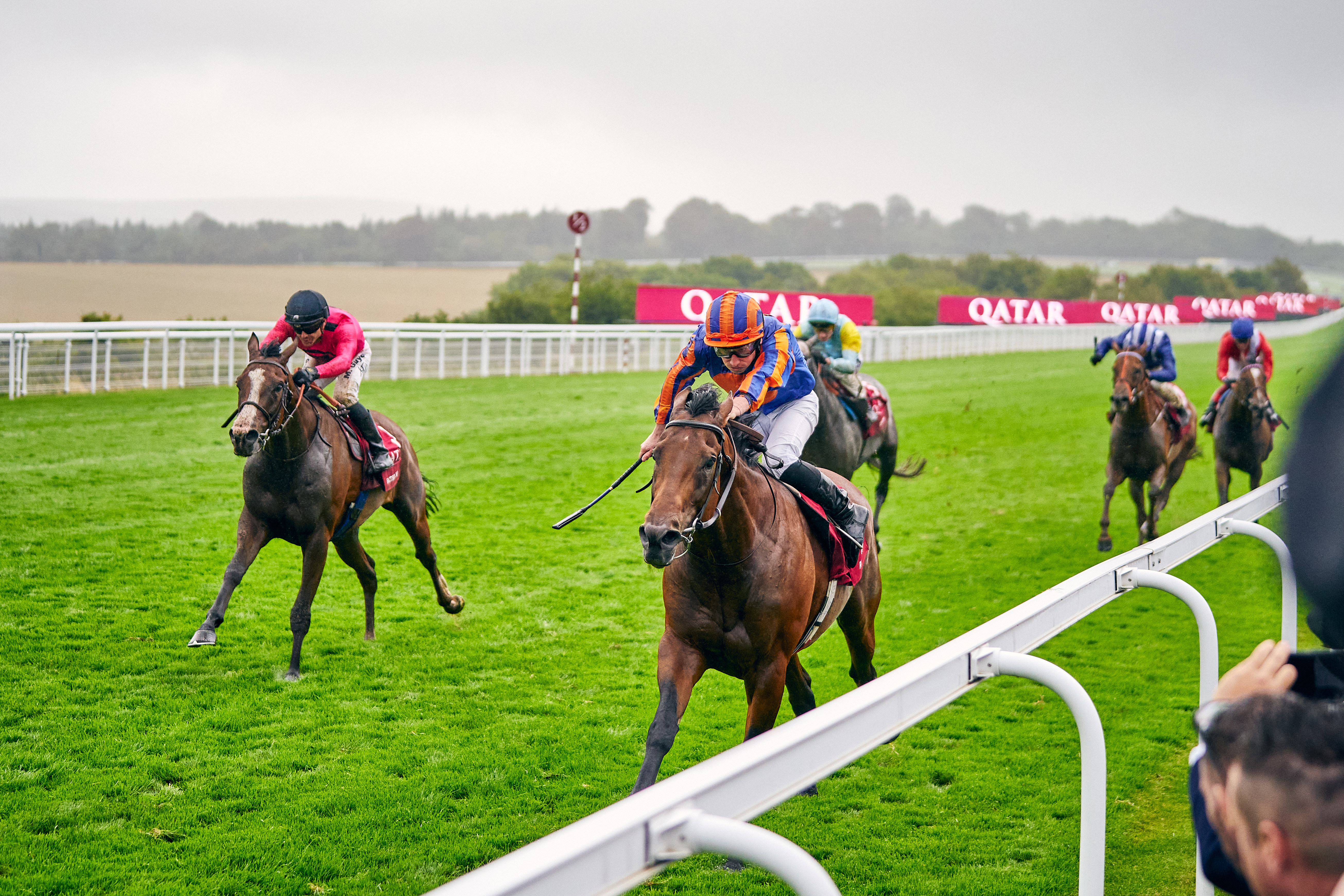 Facteur Cheval finishing second to Paddington in 2023.jpg