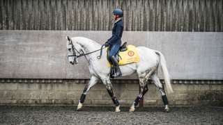 Magical Memory with rider Sue Scott-Collis at their yard in West Sussex. Ph by Toby Adamson