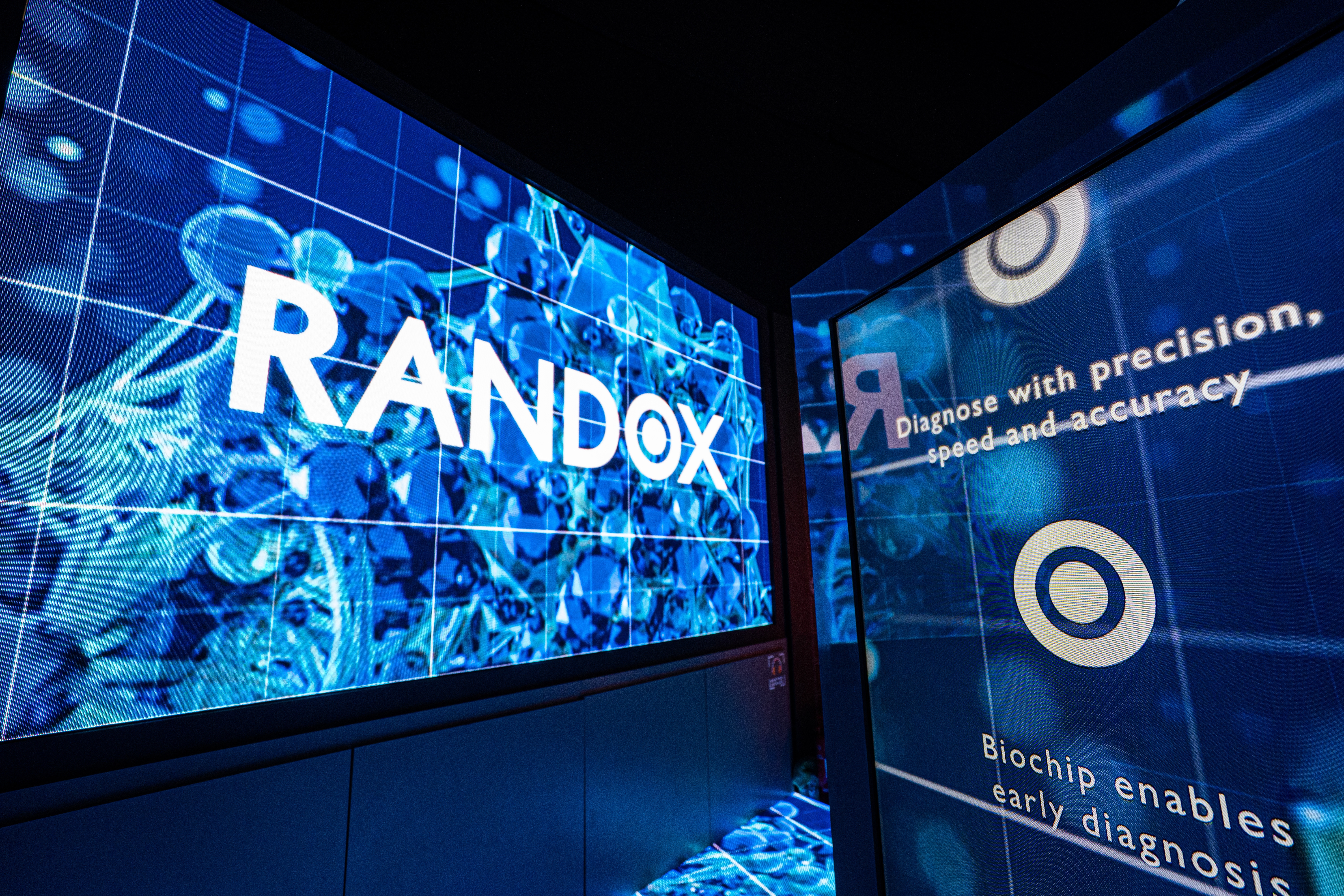 Goodwood Festival009.JPG