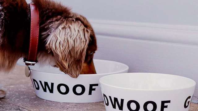 Goodwoof dog bowl