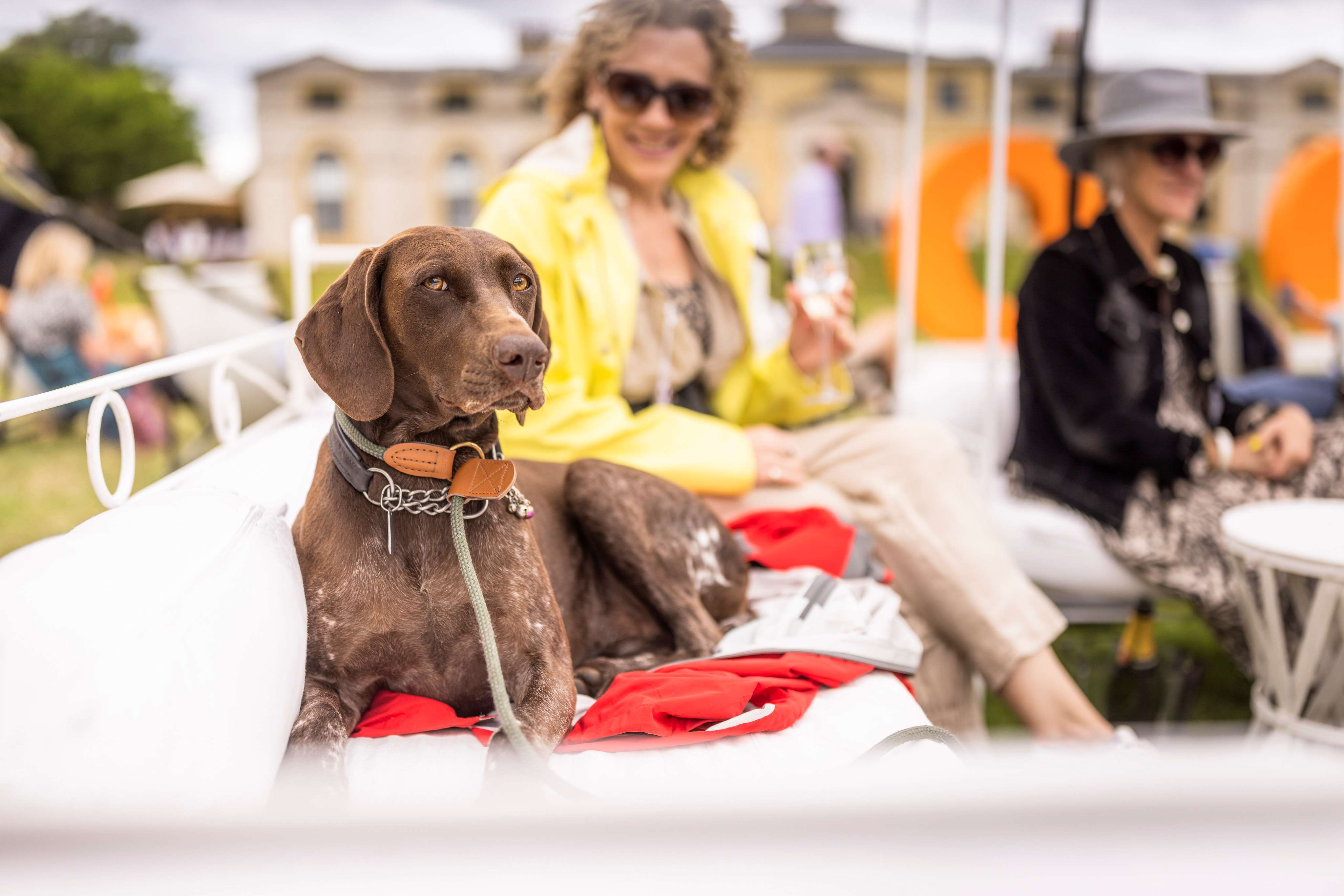 Goodwoof guests 2022. Ph. by Chris Ison.
