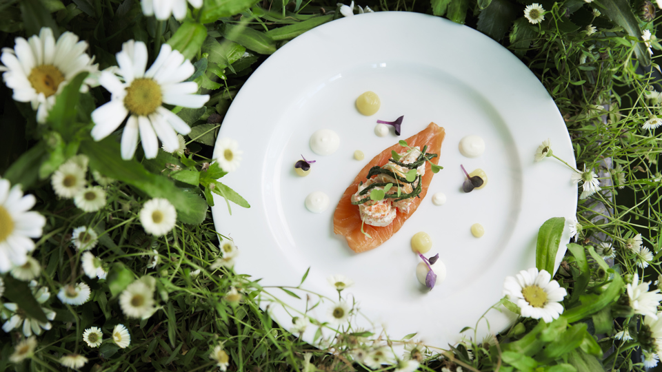 HW Food shot - Salmon.jpg