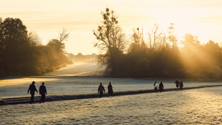 Sunrise Breath Walk on the Goodwood Estate.png