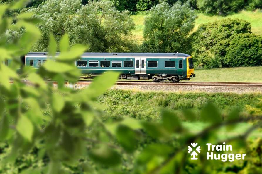 Untitled design (13).png